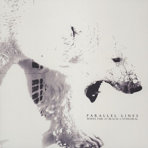 Parallel lines white fur - -, ///