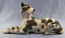 rar große dogge ens