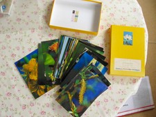 Wunderschönes Fotoset Bachblüten - Blüten für die Seele mit Beschreibungen