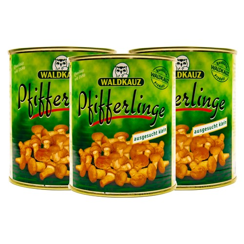 Waldkauz pfifferlinge - waldkauz,