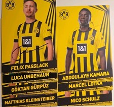 BVB Borussia Dortmund 7