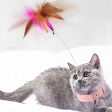 Pcs katze stab - 2,