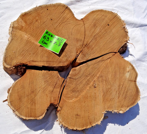Baumscheibe set holzscheibe - baumscheibe,