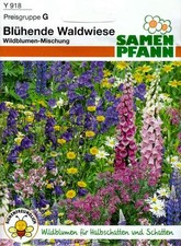 Blühende Waldwiese - Wildblumen für Halbschatten und Schatten - Blumen Samen