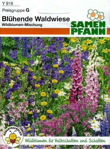 Blühende waldwiese - waldwiese,