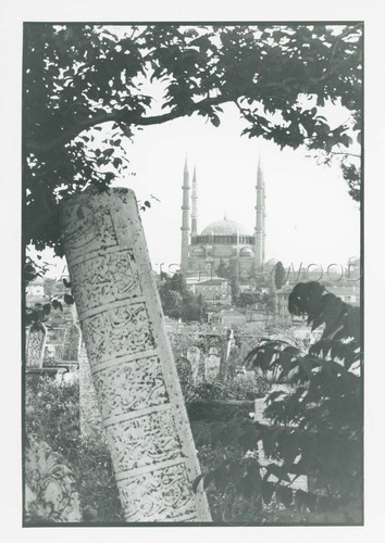 James fox türkei - james,