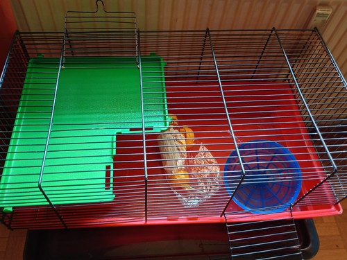 Hamsterkäfig für