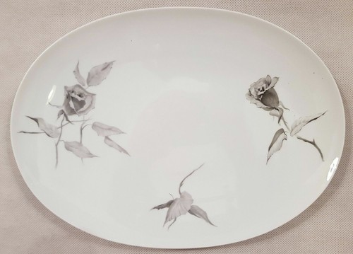 Rosenthal continental china - continental,