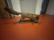 Schöner großer Fuchs auf