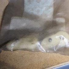 Original Ersatzteil Sachs