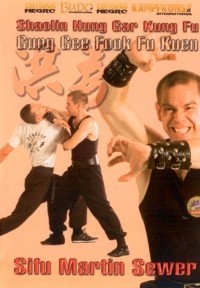 Shaolin hung gar - hung,