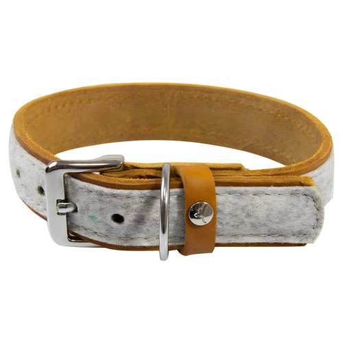 Das lederband hundehalsband - das,