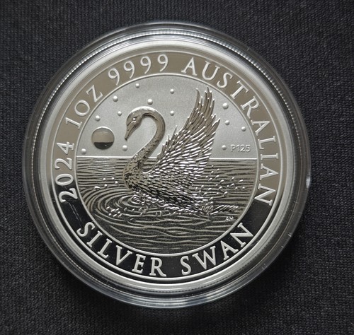Australian swan 2024 australia - australian,