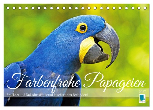Farbenfrohe papageien - farbenfrohe,