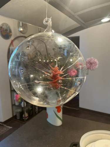 Spinnenkugel glaskugel - spinnenkugel,