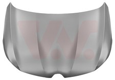 VAN WEZEL Motorhaube für