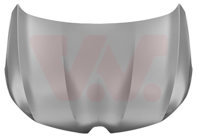 Van wezel motorhaube - wezel, für