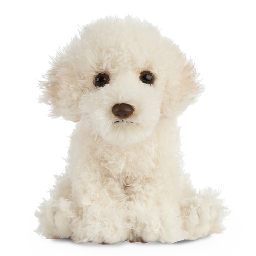 Labradoodle welpe hund - labradoodle,