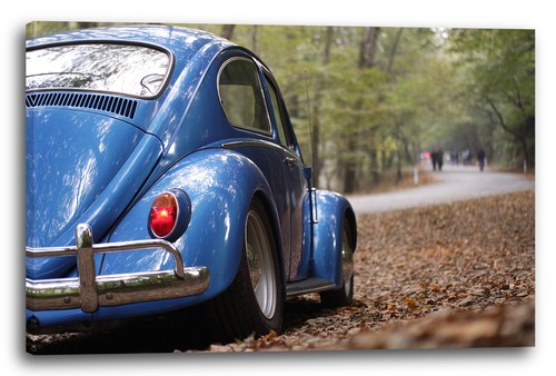 Wandbild blaues auto käfer - blaues,