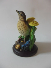 Unsere schöne Vogelwelt