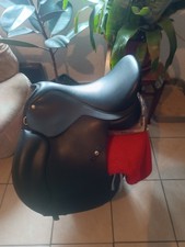 Wintec VS Ponysattel hart 15 Zoll blaues kopfeisen