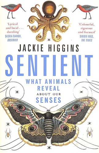 Sentient what animals reveal - sentient:,