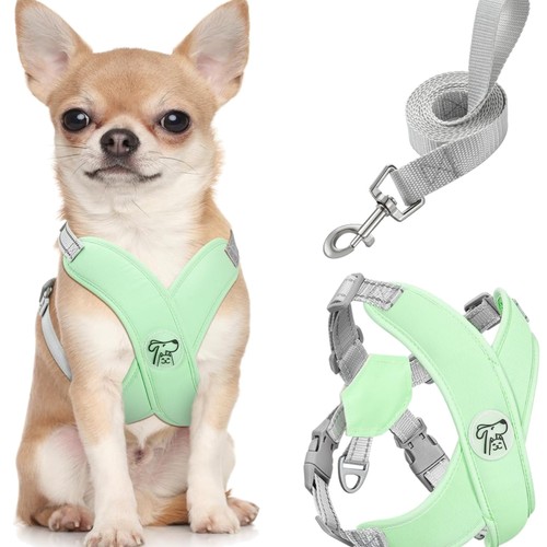 Hundegeschirr set mit leine - set,