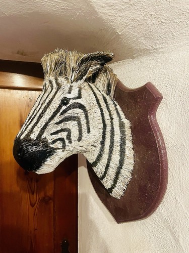Tolle wanddekoration zebra - tolle,