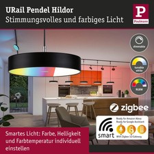 Paulmann urail pendel hildor - paulmann,