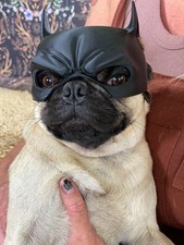 Batman hundemaske schwarz - batman,