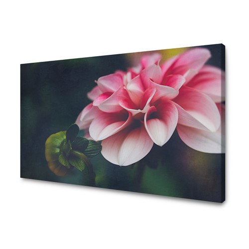 Leinwand bilder pflanzen - leinwand-bilder:,