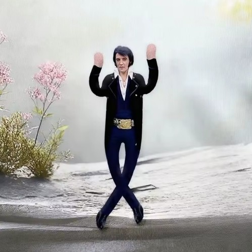 Elvis presley plüschtier - presley,