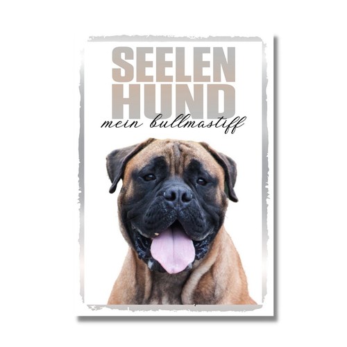 Bullmastiff seelenhund dog - bullmastiff,