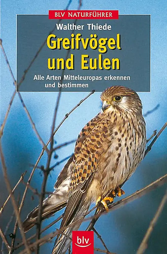 Greifvögel und eulen - und,