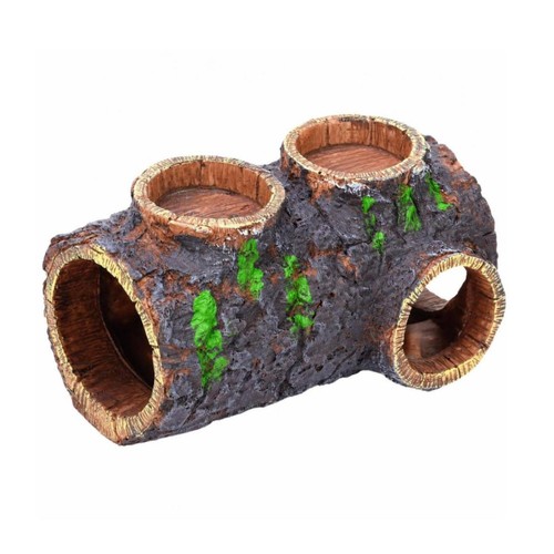 Reptilienhöhle mit - reptilienhöhle,