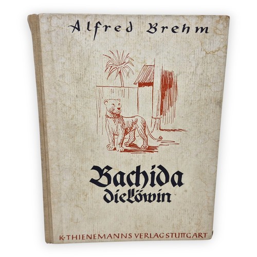 Bachida die löwin - bachida,