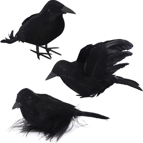 Halloween krähen 3er pack - krähen,