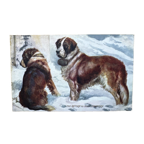 Ansichtskarte postkarte hund - postkarte,