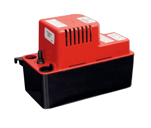 Little giant btk - giant,