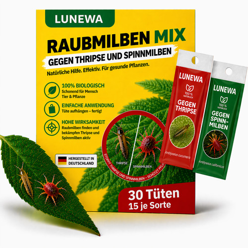 Raubmilben mix gegen thripse - raubmilben,