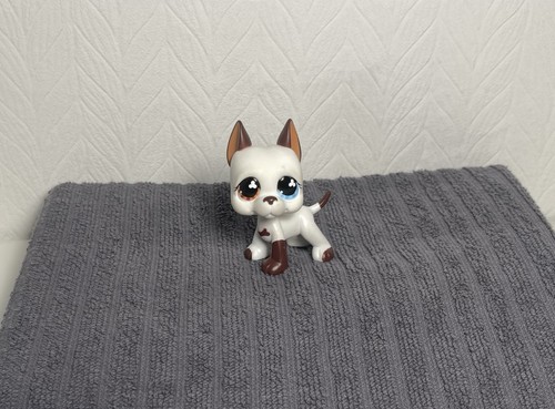 Hasbro littlest pet shop - hasbro,