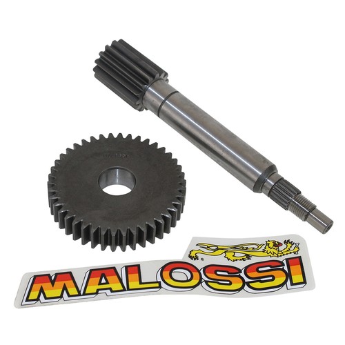 Getriebeübersetzung malossi - getriebeübersetzung,