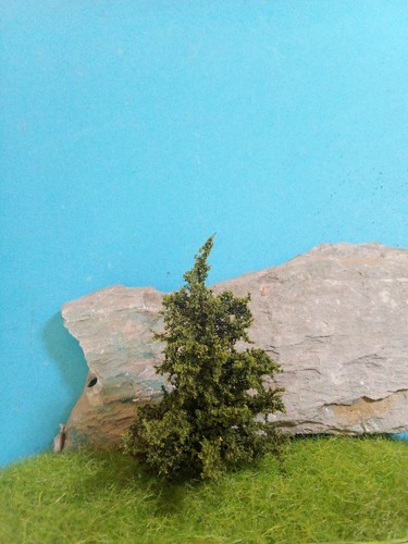 Neu lärche 6 7 - 🌲🌲🌲neu!, lärche,