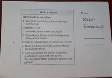 Montessori Wald-Forscherbuch