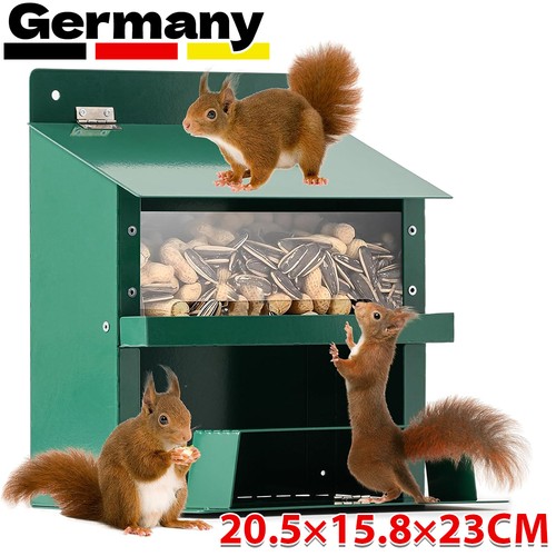 Eichhörnchen futterhaus - eichhörnchen,