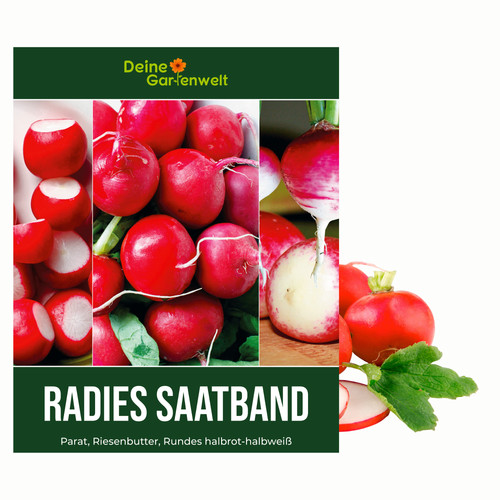 Saatband radies mit - radies, 3