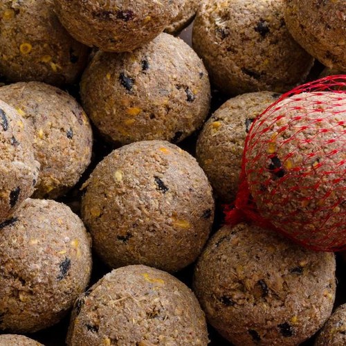 Meisenknödel premium mit - meisenknödel,