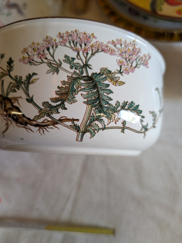 Villeroy boch serie - villeroy, botanica