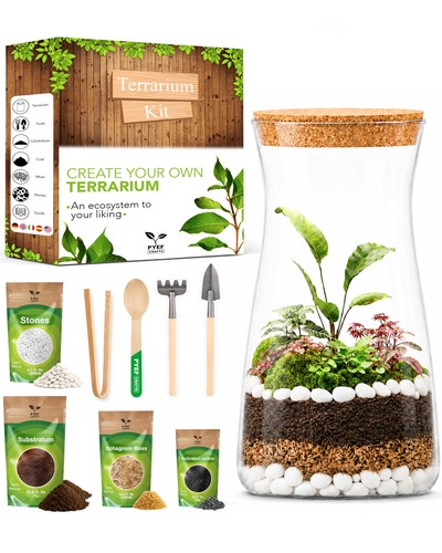 Terrarium kit for plants diy - terrarium,