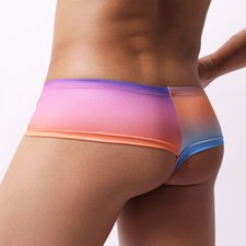 Herren Netz Beutel Tangas